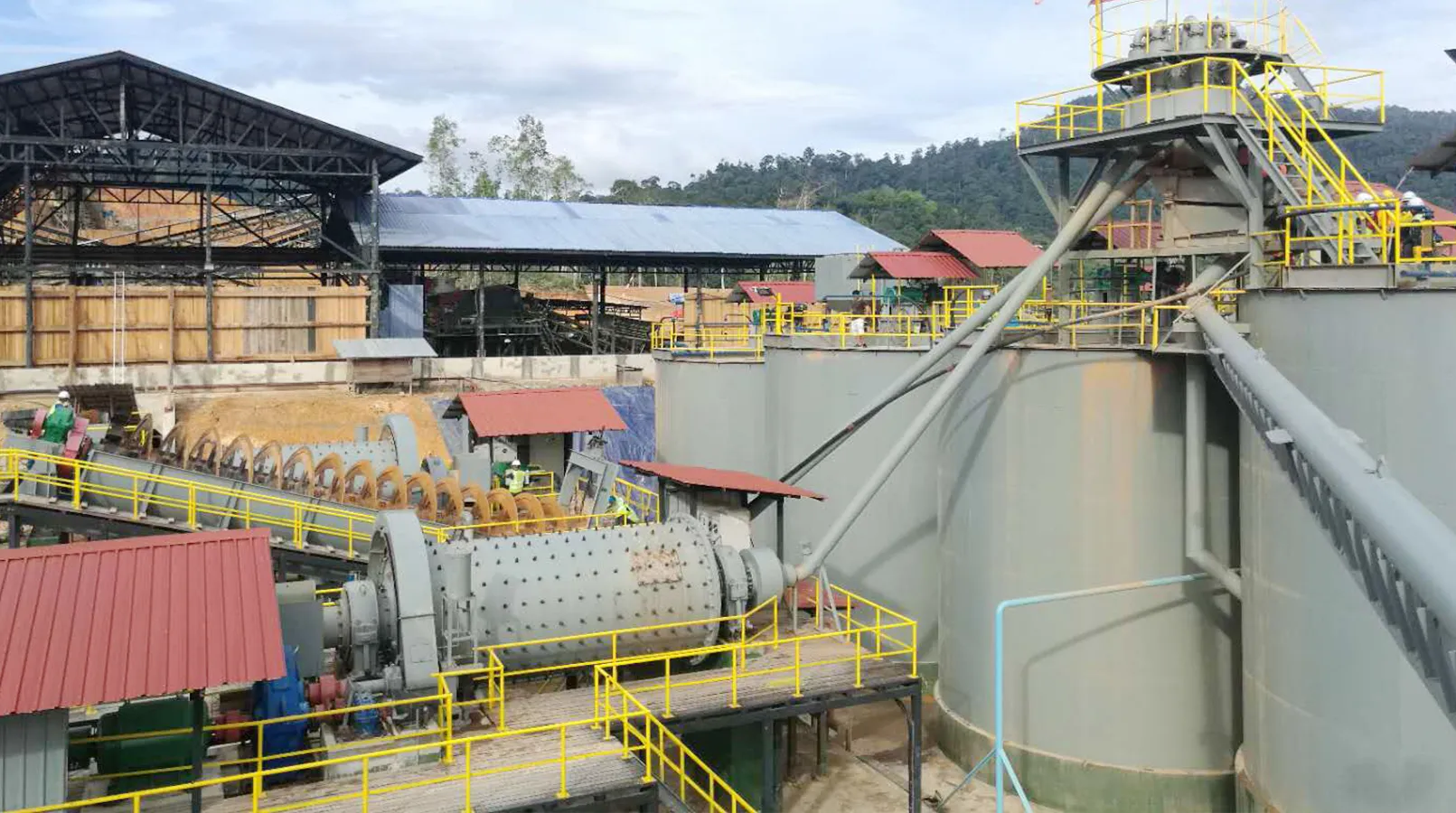 Zimbabwe Carbon Pulp Plant Project